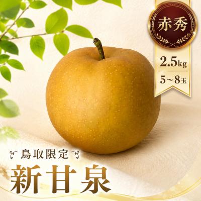 ふるさと納税 八頭町 新甘泉(赤秀) 2.5kg[鳥取限定の希少な品種!]