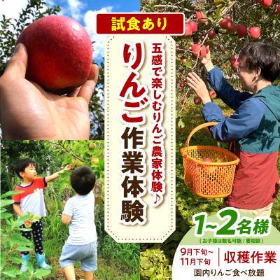 ふるさと納税 五所川原市 りんご収穫体験 (9月下旬〜11月下旬)大人2人まで 体験型 りんご 青森県五所川原市