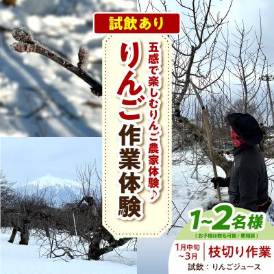 ふるさと納税 五所川原市 りんご作業体験(枝切り/1月中旬〜3月)大人2人まで 体験型 りんごジュース 青森県五所川原市