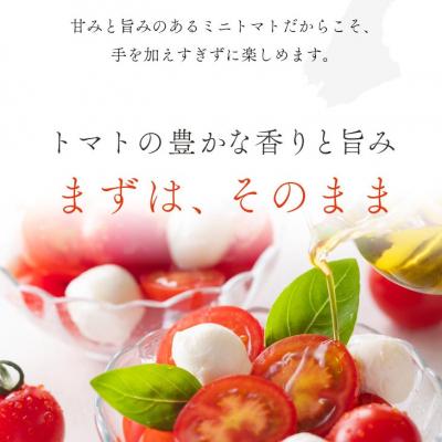 ふるさと納税 南あわじ市 ケンちゃんファームの高糖度ミニトマト「トマトマトマト」900g |  | 01