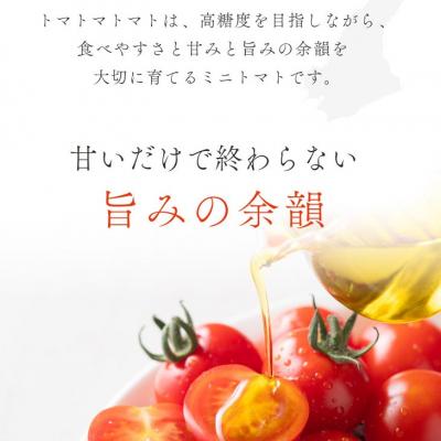 ふるさと納税 南あわじ市 ケンちゃんファームの高糖度ミニトマト「トマトマトマト」900g |  | 02
