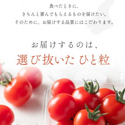 ふるさと納税 南あわじ市 ケンちゃんファームの高糖度ミニトマト「トマトマトマト」900g |  | 03