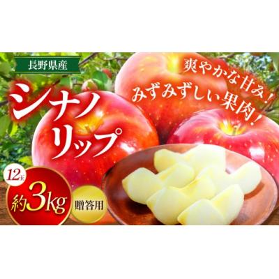 ふるさと納税 伊那市 夏リンゴ 贈答用 シナノリップ 上伊那産 約3kg (12玉)