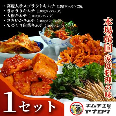 ふるさと納税 神埼市 食べ比べ 4種のキムチ(各100g×2P)+スプラウトキムチ(1本入り×2袋)(H104265)