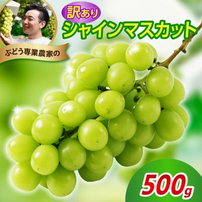 ふるさと納税 米沢市 [先行受付] 令和8年産 訳あり シャインマスカット 500g