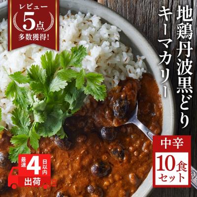 ふるさと納税 加西市 キーマカレー 地鶏丹波黒どりと丹波黒大豆のキーマカリー 10食セット[No5698-2340]