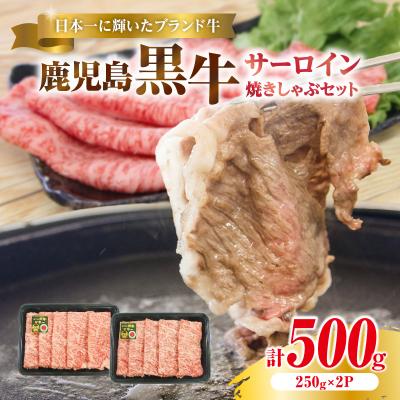 ふるさと納税 鹿児島市 (KH-401)鹿児島黒牛サーロイン焼きしゃぶセット(計500g) K127-018_01