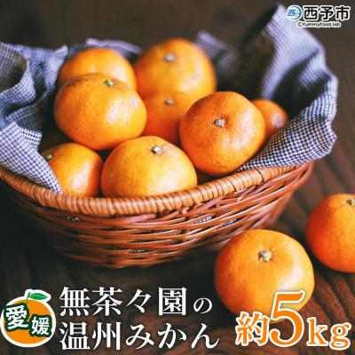 ふるさと納税 西予市 [先行受付] <無茶々園 温州みかん 約5kg>無茶々園 みかん 愛媛 えひめ