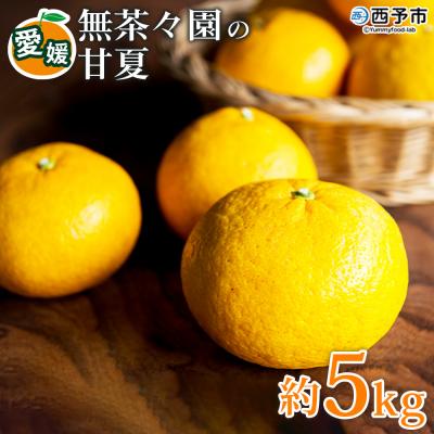 ふるさと納税 西予市 <無茶々園の甘夏 約5kg> 果物 あまなつ みかん ミカン 蜜柑 柑橘 フルーツ 期間限定