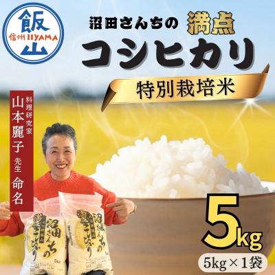 ふるさと納税 飯山市 [令和7年産米]沼田さんちの満点 こしひかり 精米 5kg