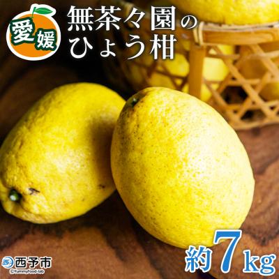 ふるさと納税 西予市 <無茶々園のひょう柑 7kg> 果物 フルーツ 柑橘 愛媛 期間限定