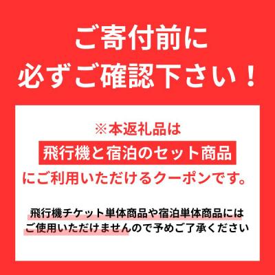ふるさと納税 函館市 函館市に泊まるふるさと納税旅行クーポン【3,000円分】_HD251-001 |  | 02