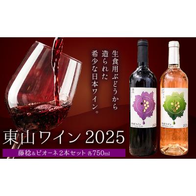 ふるさと納税 笠岡市 東山ワイン2025 750ml 藤稔 ピオーネ 2本セット 東山農園[30日以内に出荷予定(土日祝除