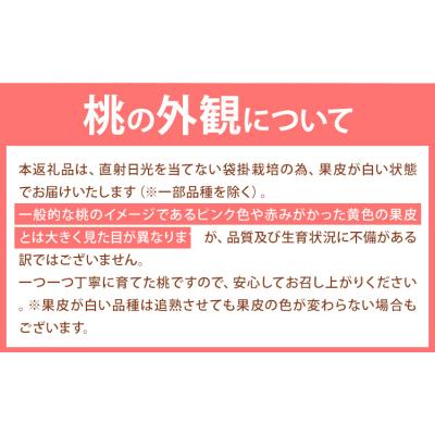 ふるさと納税 笠岡市 【2027年発送】岡山の桃 約1.3kg《2027年6月下旬〜9月上旬頃出荷》岡山県 笠岡 白桃 |  | 03