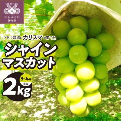 ふるさと納税 甲府市 甲府市産(池川総合ブドウ園)のシャインマスカット2kg相当(目安3〜4房)K07024-B
