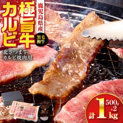 ふるさと納税 鹿児島市 北さつま牛カルビ焼肉用