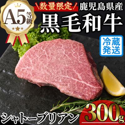 ふるさと納税 曽於市 鹿児島県産A5黒毛和牛"極厚"シャトーブリアン300g