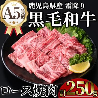 ふるさと納税 曽於市 鹿児島県産A5等級黒毛和牛霜降りロース焼肉250g