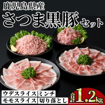 ふるさと納税 曽於市 鹿児島県産さつま黒豚モリモリおためしパック1.2kg
