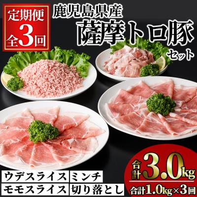 ふるさと納税 曽於市 [3回定期]薩摩トロ豚モリモリお試しパック1kg×3回(合計3kg)