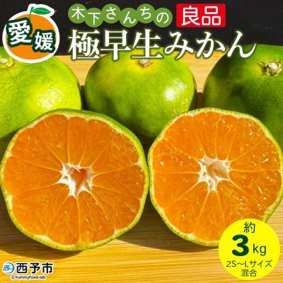 ふるさと納税 西予市 <木下さんちの極早生みかん 良品 約3kg 木下農園 愛媛 えひめ みかん>