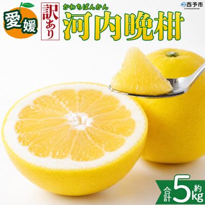ふるさと納税 西予市 <[訳あり]愛媛県産 河内晩柑 約5kg 三代目みかん職人 愛媛 えひめ>