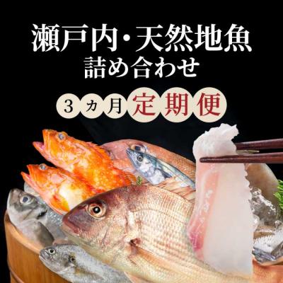 ふるさと納税 三原市 [3か月定期便]瀬戸内産 鮮魚 地魚詰め合わせ(3〜5種類)計3回お届け [154-009]