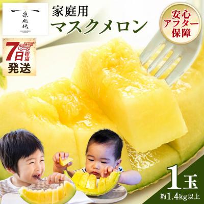 ふるさと納税 香南市 [7日程度で発送]訳あり メロン1玉入り 青肉 1個 家庭用 マスクメロン 数量限定 tn-0062
