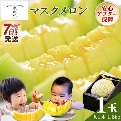 ふるさと納税 香南市 [7日程度で発送]一果相伝マスクメロン 1玉入り tn-0064
