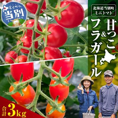 ふるさと納税 当別町 北海道当別町産化学農薬不使用ミニトマト:甘っこ1.5kg+フラガール1.5kg_tb36-008
