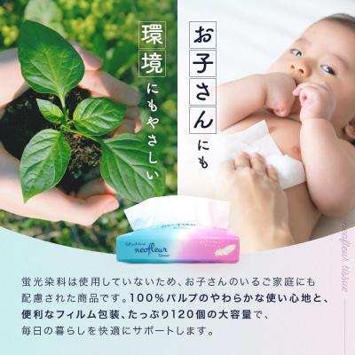 ふるさと納税 名古屋市 ソフトパックティッシュ　5個パック(コンパクト)×4セット(20個) |  | 03