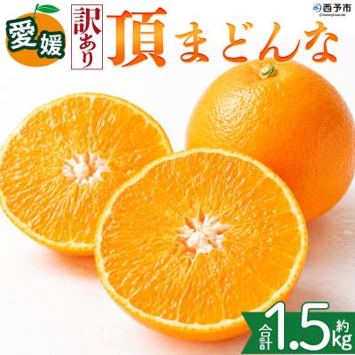 ふるさと納税 西予市 <[訳あり]愛媛県産 頂まどんな 約1.5kg マドンナ 高級柑橘 三代目みかん職人>