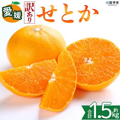 ふるさと納税 西予市 <[訳あり]愛媛県産 せとか 約1.5kg ミカン 高級柑橘 三代目みかん職人>