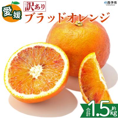ふるさと納税 西予市 <[訳あり]愛媛県産 ブラッドオレンジ 約1.5kg 蜜柑 果物 くだもの>