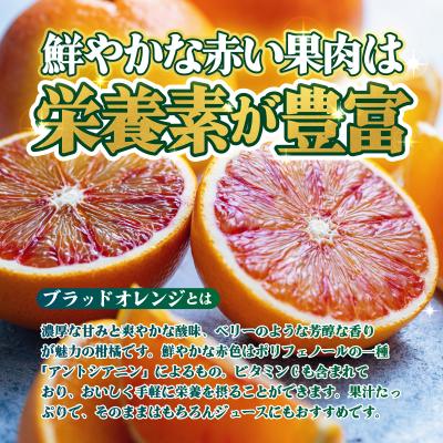 ふるさと納税 西予市 <【訳あり】愛媛県産 ブラッドオレンジ 約1.5kg
