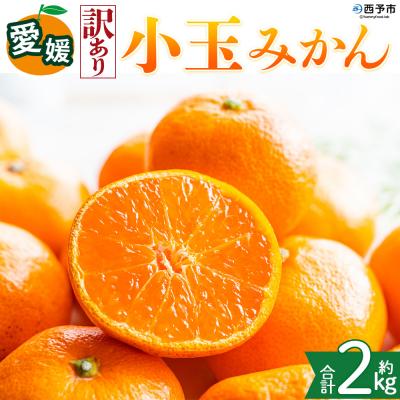 ふるさと納税 西予市 <[訳あり]愛媛県産 小玉みかん 約2kg 小さい こだま 愛媛 えひめ >