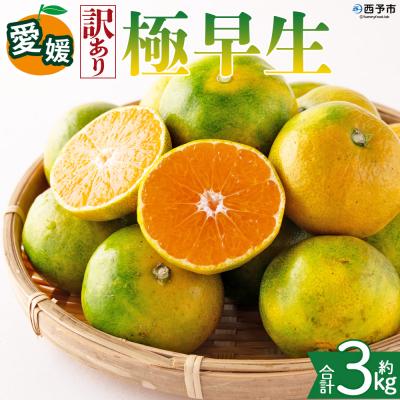 ふるさと納税 西予市 <[訳あり]愛媛県産 極早生 約3kg 訳あり 果物 くだもの フルーツ>
