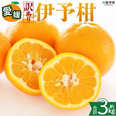 ふるさと納税 西予市 <[訳あり]愛媛県産 伊予柑 約3kg 三代目みかん職人 >果物 えひめ