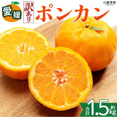 ふるさと納税 西予市 <[訳あり]愛媛県産 ポンカン 約1.5kg 三代目みかん職人 蜜柑 果物 くだもの>えひめ