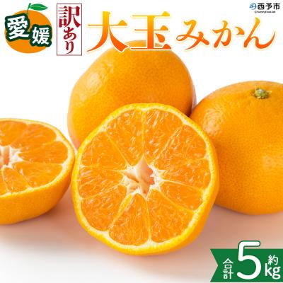 ふるさと納税 西予市 <[訳あり]愛媛県産 大玉みかん 約5kg 三代目みかん職人 蜜柑 果物 くだもの>えひめ