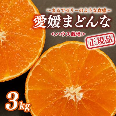 ふるさと納税 愛南町 先行受付 数量限定 正規品 まどんな 3kg みかん 前田ファーム 愛南町 愛媛県