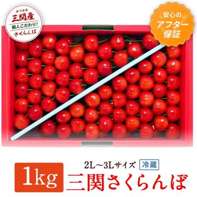 ふるさと納税 湯沢市 三関さくらんぼ 3L/2Lサイズ 1000g[C2-8701]