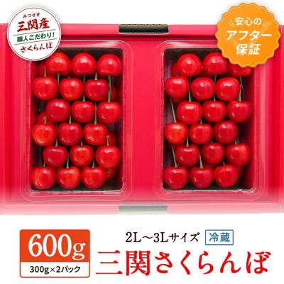 ふるさと納税 湯沢市 三関さくらんぼ 3L/2L 600g[H2-8701]