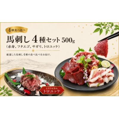 ふるさと納税 伊那市 馬刺し 4種セット 500g(赤身、フタエゴ、サガリ、トロユッケ) 希少部位 馬肉 冷凍 真空パック