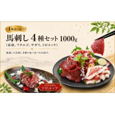 ふるさと納税 伊那市 馬刺し 4種セット 1000g(赤身、フタエゴ、サガリ、トロユッケ) 希少部位馬肉 冷凍 真空パック