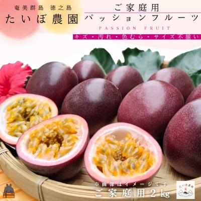 ふるさと納税 徳之島町 ≪今が旬!≫ 徳之島 たいぼ農園さんのご家庭用パッションフルーツ(2kg)