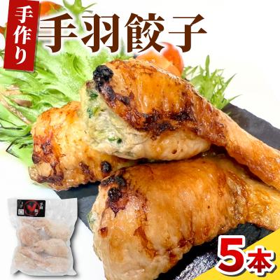 ふるさと納税 東白川村 手羽餃子 1袋 5本入り 手羽先 ギョーザ 手羽 鶏 豚 冷凍 おかず