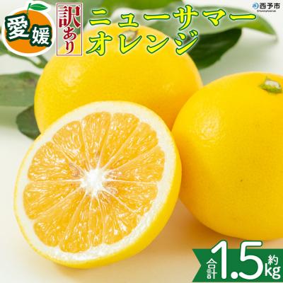 ふるさと納税 西予市 <[訳あり]愛媛県産 ニューサマーオレンジ 約1.5kg 三代目みかん職人>えひめ