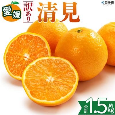 ふるさと納税 西予市 <[訳あり]愛媛県産 清見 約1.5kg 三代目みかん職人>えひめ きよみ