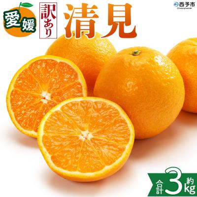ふるさと納税 西予市 <[訳あり]愛媛県産 清見 約3kg 三代目みかん職人>えひめ きよみ